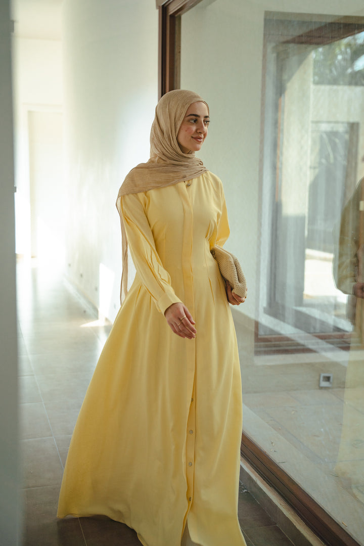 Fitted A-line Dress C0404